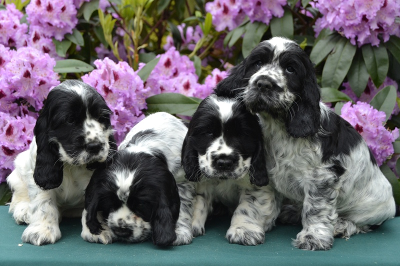 22-Habi, Hanny, Hart, Haidi.JPG